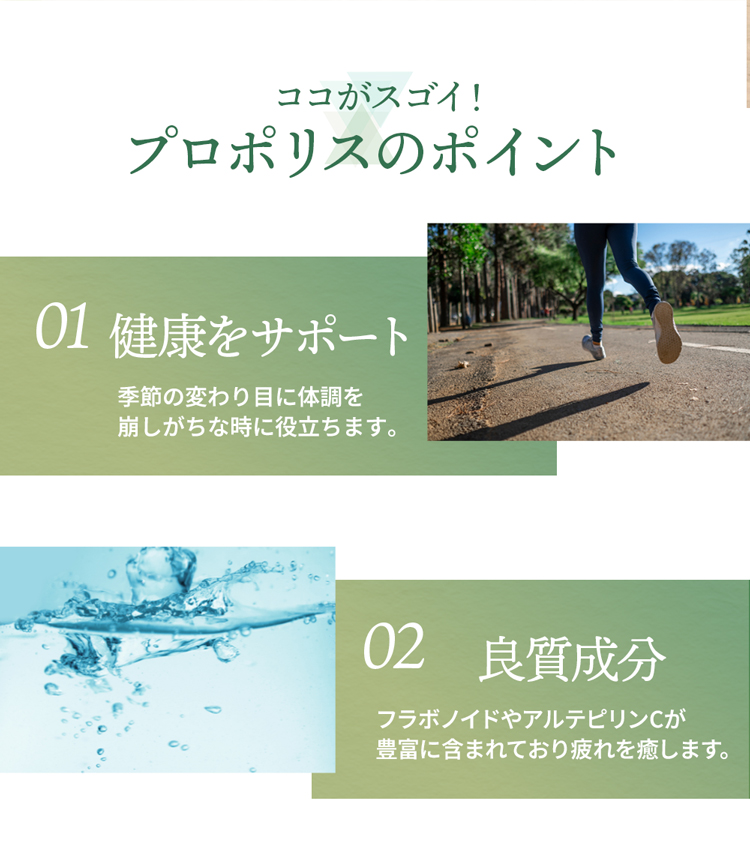 プロポリスのポイント