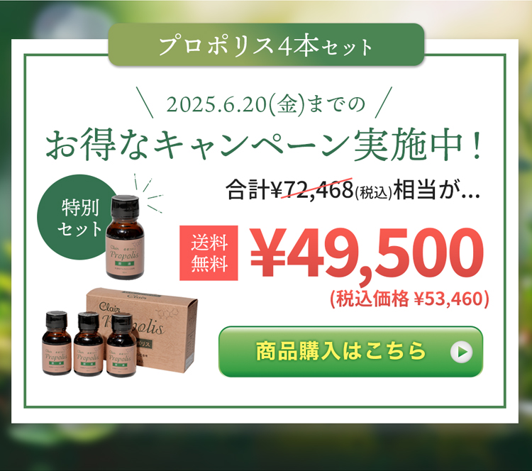 プロポリス4本セット