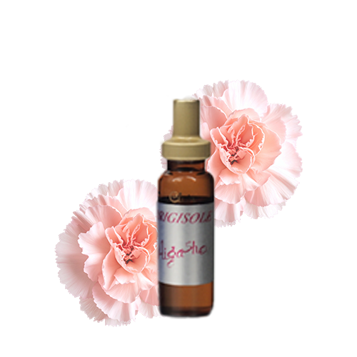 オリジソール ヒアル